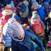 02 Aktion Februar 25 Tiere im Winterwald